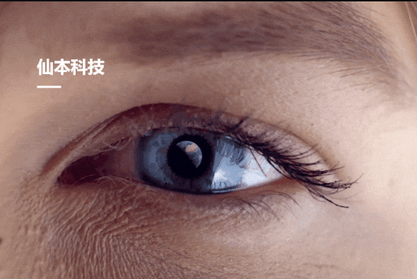 仙本科技有限公司